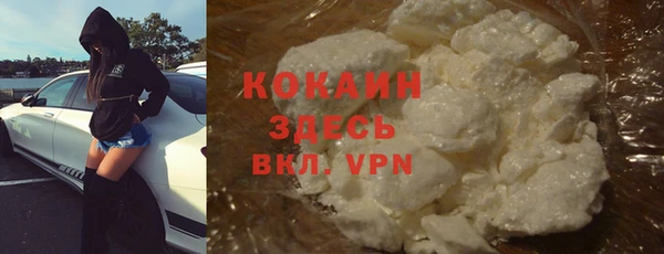 дмт Костерёво