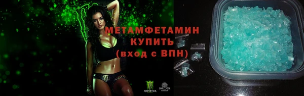 прущие грибы Корсаков