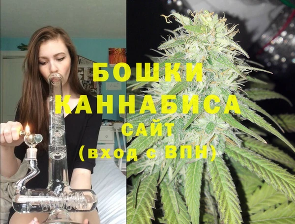 прущие грибы Корсаков