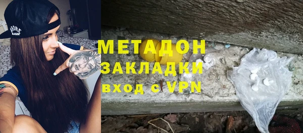 прущие грибы Корсаков