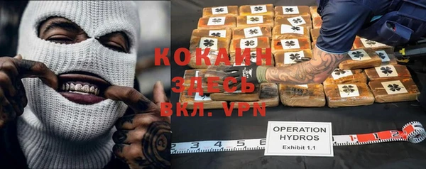 дмт Костерёво