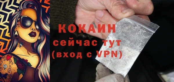 прущие грибы Корсаков