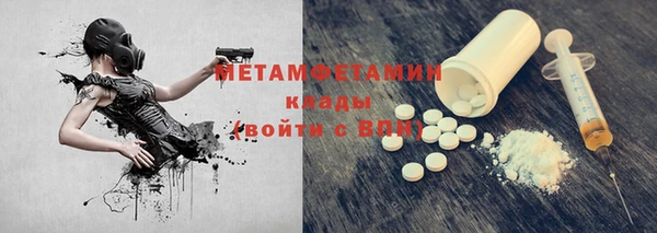 прущие грибы Корсаков