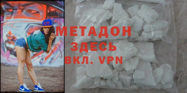 прущие грибы Корсаков