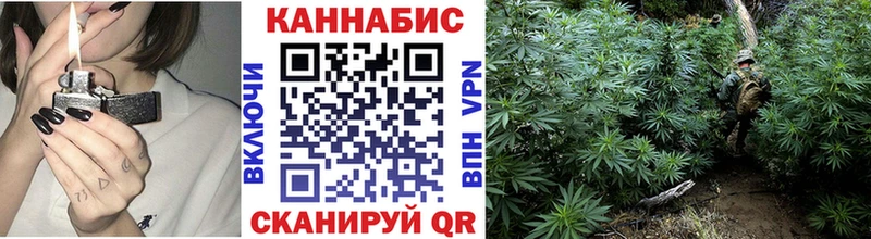 Канабис Bruce Banner  Купить закладки  Бутурлиновка 